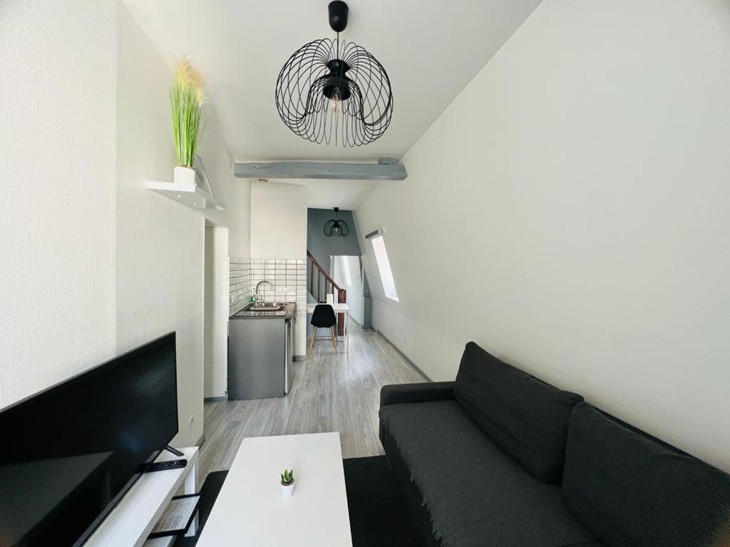 L'Appartement Des Ducs ديجون المظهر الخارجي الصورة
